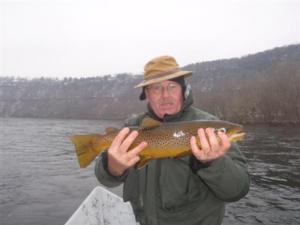 winter fishing brown trout